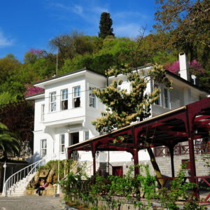 Fethi Paşa Korusu