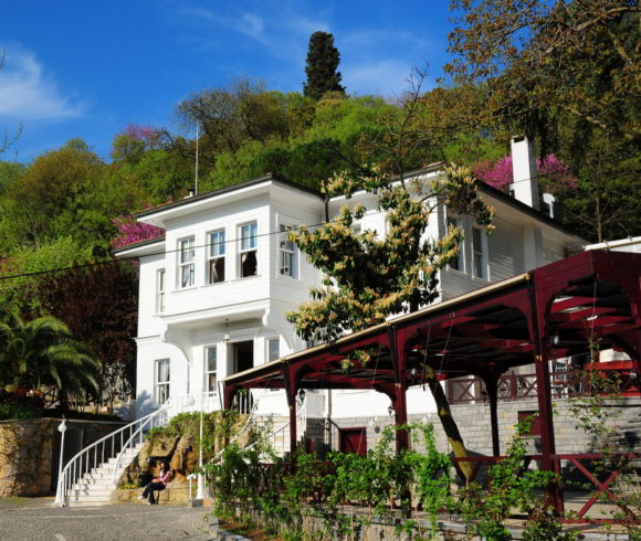 Fethi Paşa Korusu