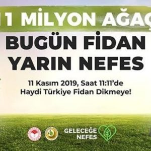 Daha Yeşil Bir Türkiye İçin
