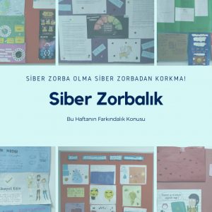 Siber Zorbalık