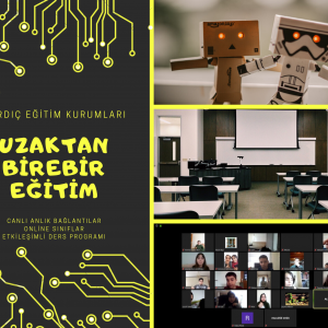 Uzaktan Birebir Online Eğitim